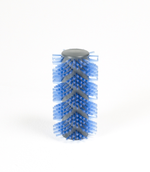 brosse aglaja standard